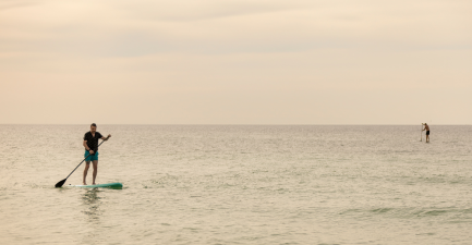 Paddleboarders take to the ocean