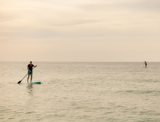 Paddleboarders take to the ocean